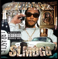the cover of the album slmdo
