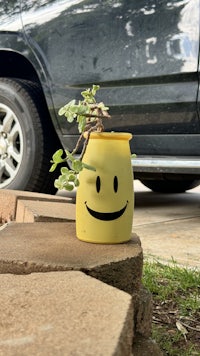 a yellow smiley face planter on the side of a car