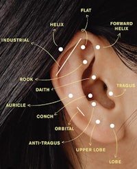 a diagram of the ear with different parts labeled