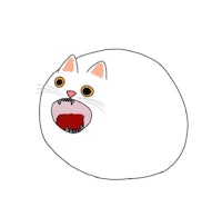 a white cat with an open mouth