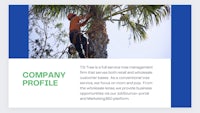 a company profile with a man climbing a palm tree