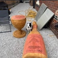 a dog standing next to a bottle of wine
