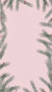 a pink background with fir branches and berries