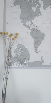 a world map on a wall with a vase of flowers