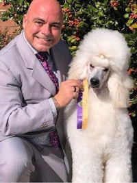 a man in a suit is posing with a white poodle