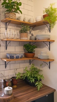 a kitchen with wooden shelves and potted plants