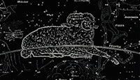 a black and white drawing of a sheep in the sky