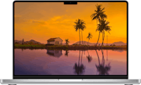 a laptop with palm trees and a lake in the background