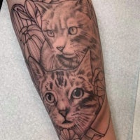 a tattoo of two cats on the forearm