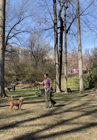 a woman playing with a dog in a park