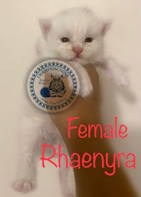 female rheena