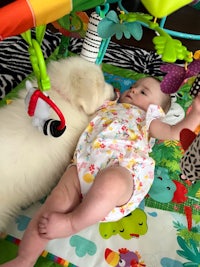 a baby is laying on the floor with a white dog