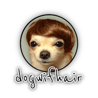 a chihuahua wearing a wig