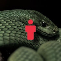 an image of a snake with a red person on it