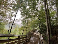 a wooden walkway leading to a wooded area in the woods
