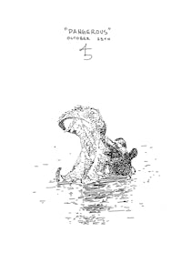 a drawing of a crocodile in the water