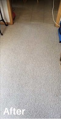 a room with a carpet that has been cleaned