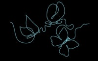 a drawing of two butterflies on a black background