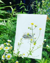 a piece of paper with a drawing of a bee on it