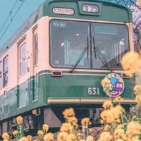a green train traveling through a field of yellow flowers