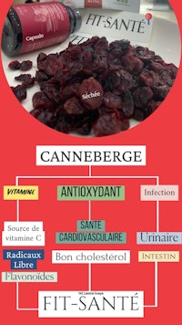 canneberge anti-oxidant - infographic - fit - sante