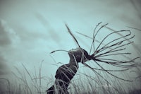 a black and white photo of a woman in tall grass