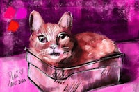 a cat is sitting in a box on a pink background