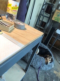 a dog laying on a bed in a workshop