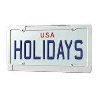 a license plate with the word usa holidays on it