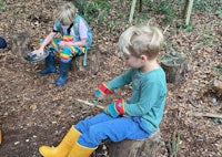 a group of children playing in the woods