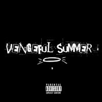 the cover of vengeful summer