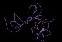 a purple drawing of butterflies on a black background