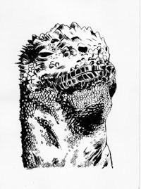 a black and white drawing of a lizard's head
