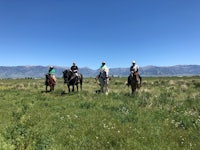 four people riding horses in a field with mountains in the background