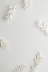 white paper leaves on a white background