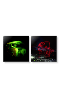 two pictures of a red light and a green light on a black background