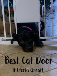 best cat door it works great