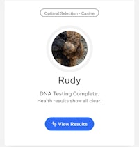 rudy dna testing complete