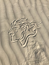 a sand drawing of a dog in the sand
