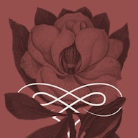 an illustration of a magnolia flower with an infinity symbol