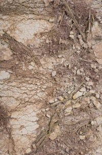 a close up of some dirt and rocks