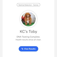 kc's toby dna testing complete