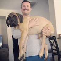 a man holding a large dog in his arms