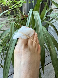 a person's foot with a plant on it