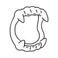 a black and white drawing of a ring with claws