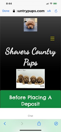 showers country pups screenshot