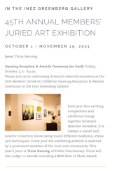 a flyer for the annual members' juried art exhibition