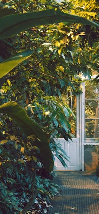 a woman is walking through a garden