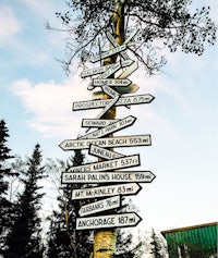 a directional sign on a tree with arrows pointing in different directions
