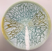 a plate with a green and yellow design on it
